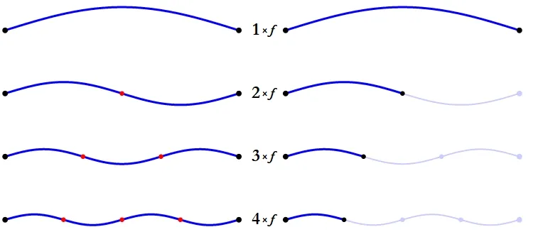 Harmonic series on a string