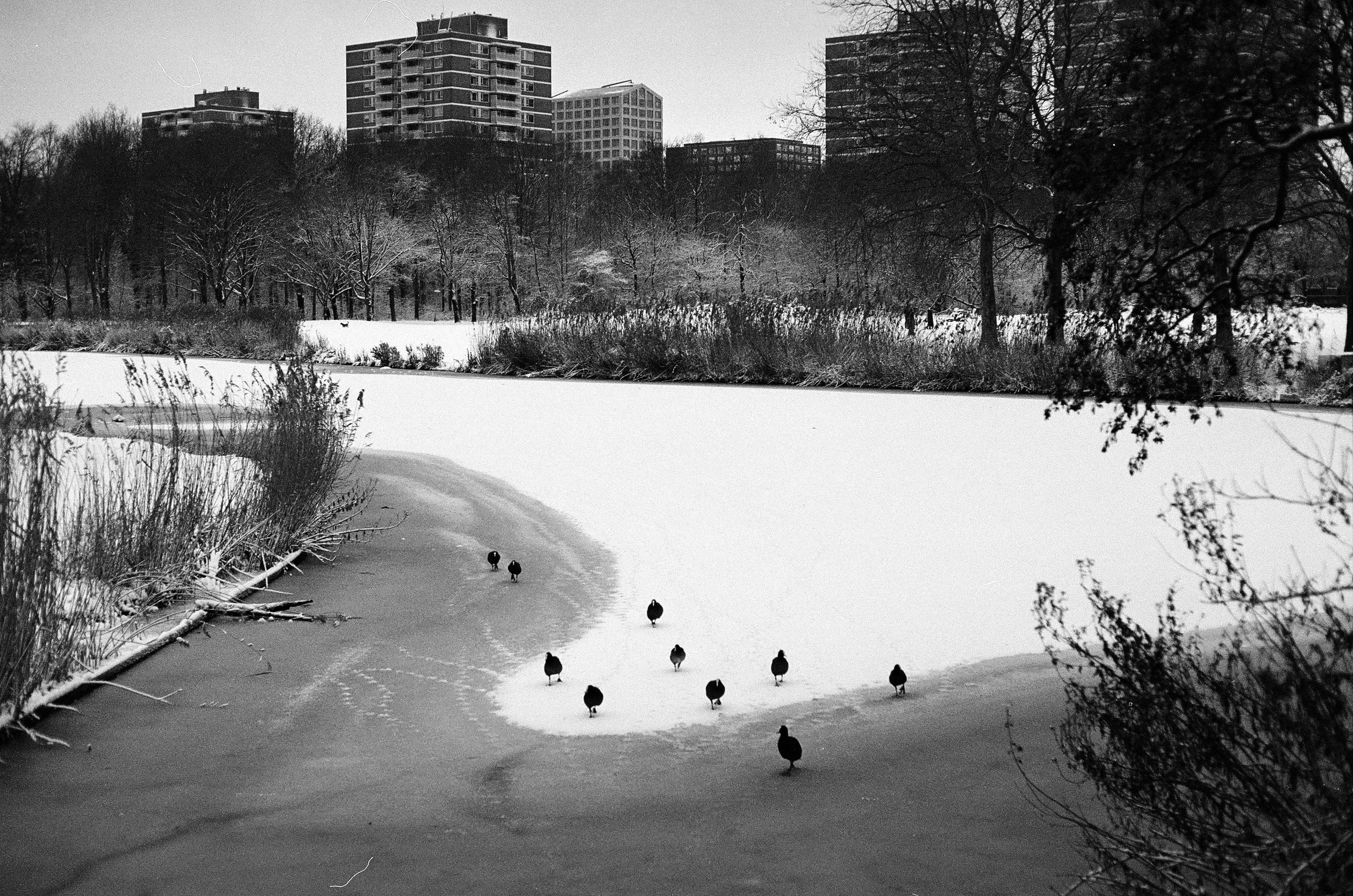 Image from Short Winter album