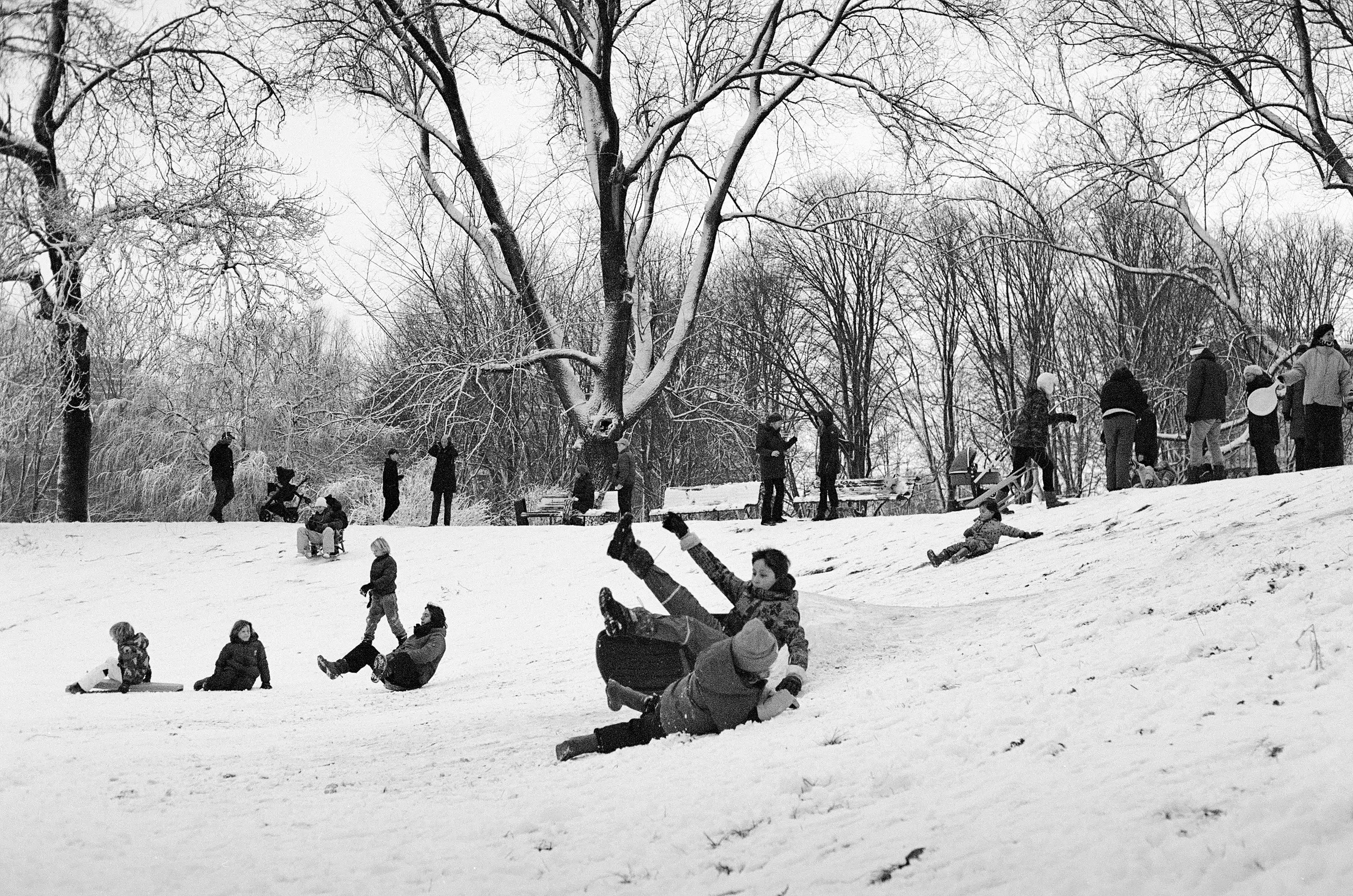Image from Short Winter album