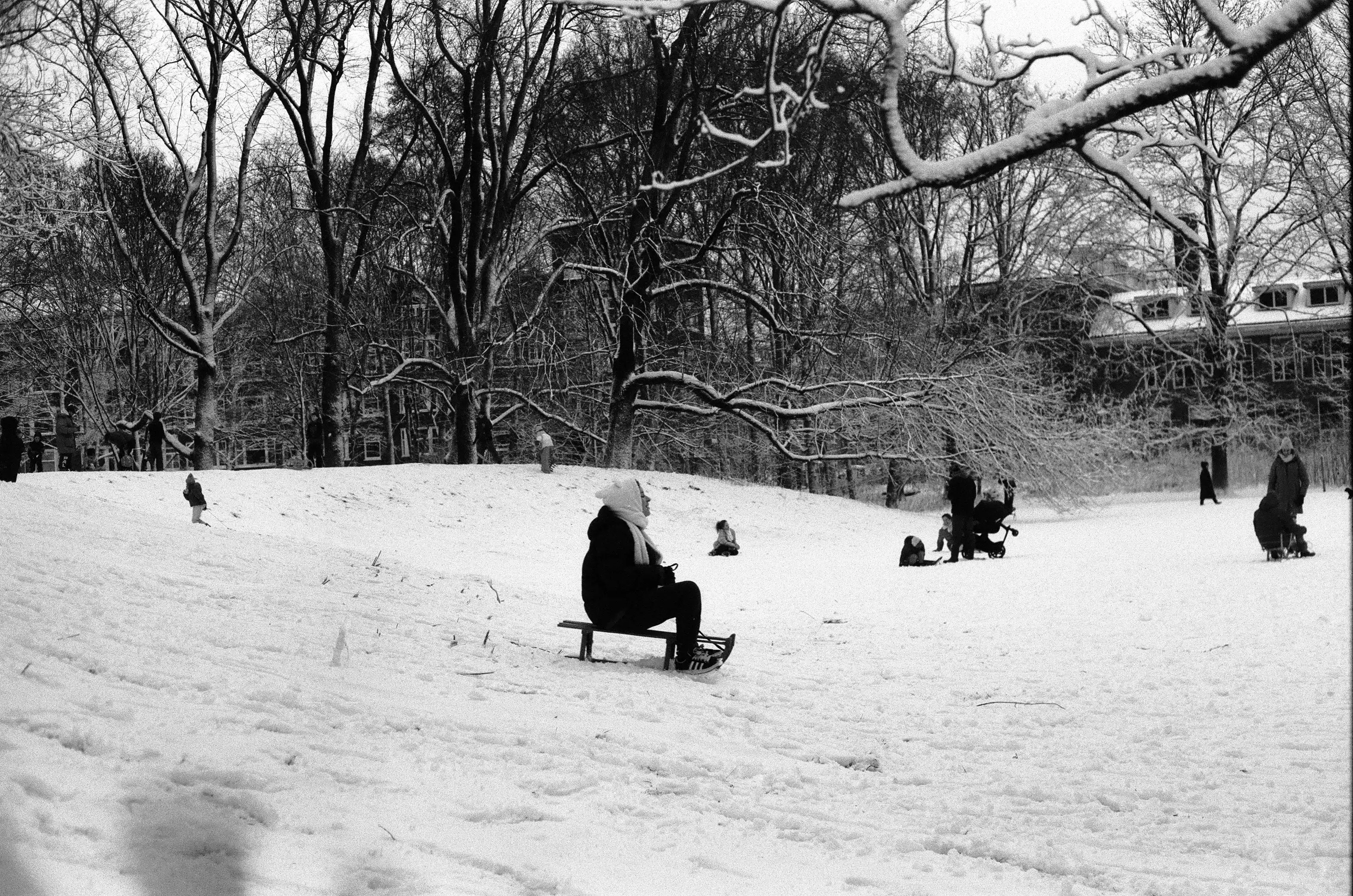 Image from Short Winter album