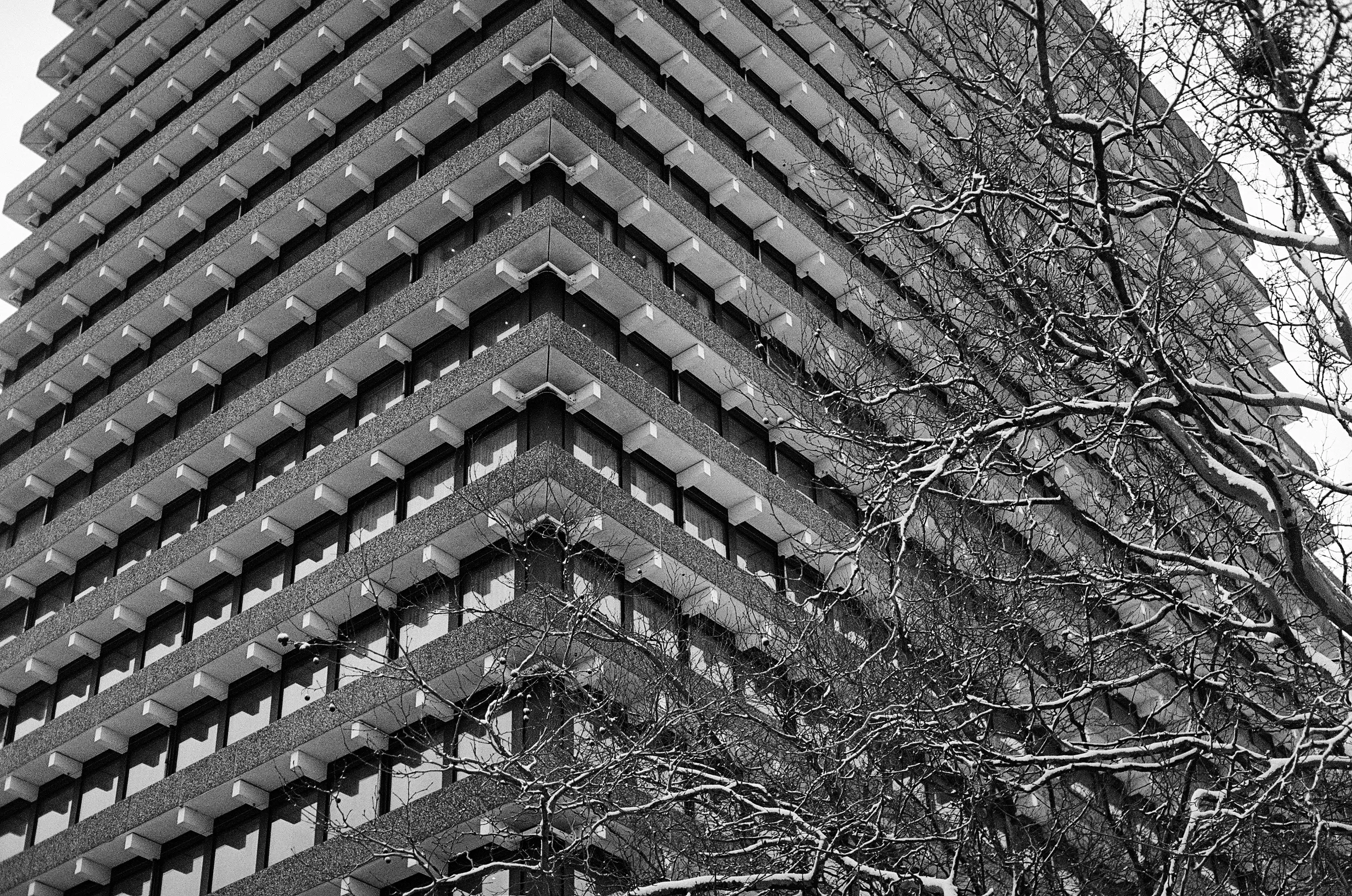 Image from Short Winter album