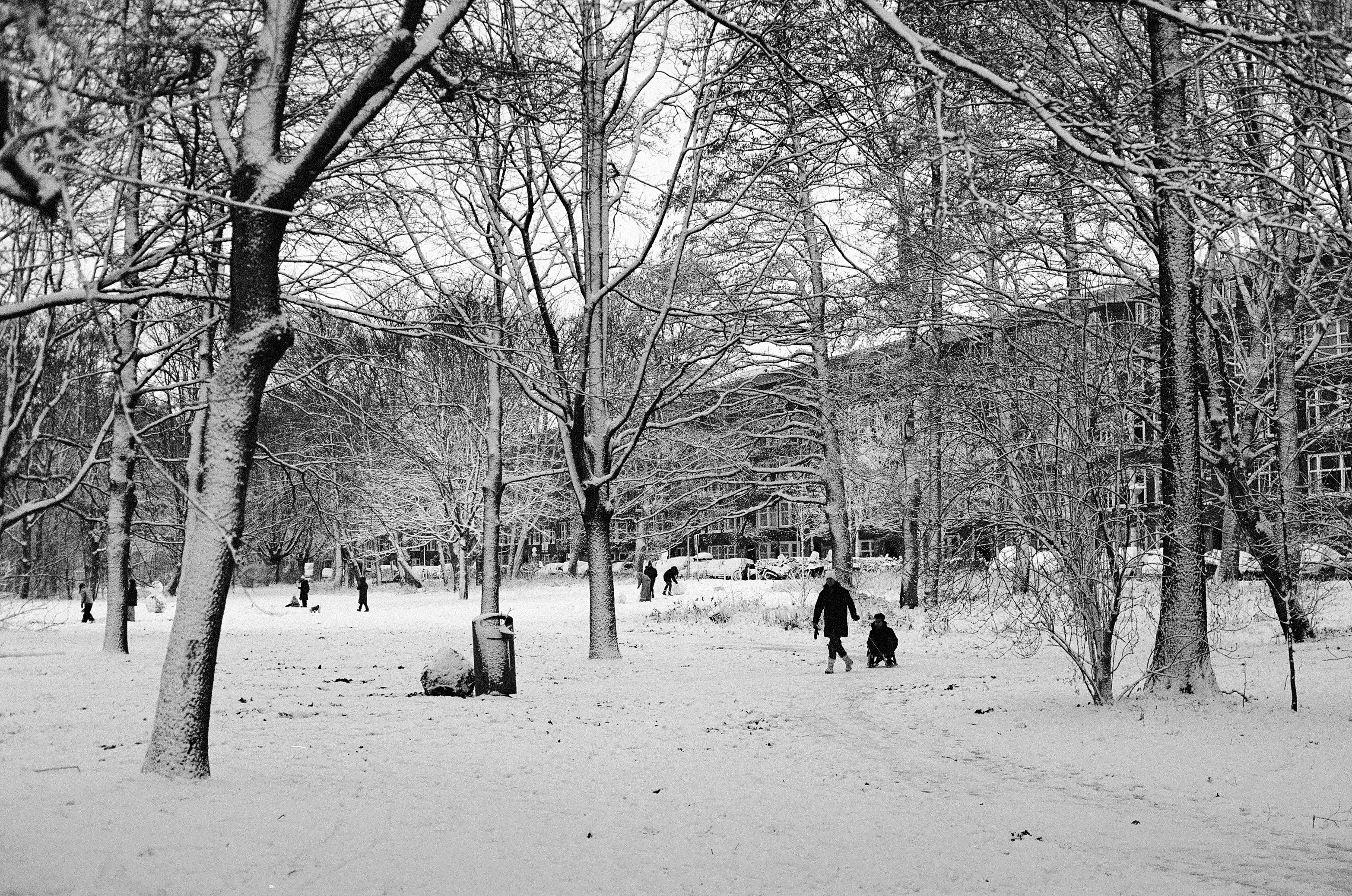 Image from Short Winter album