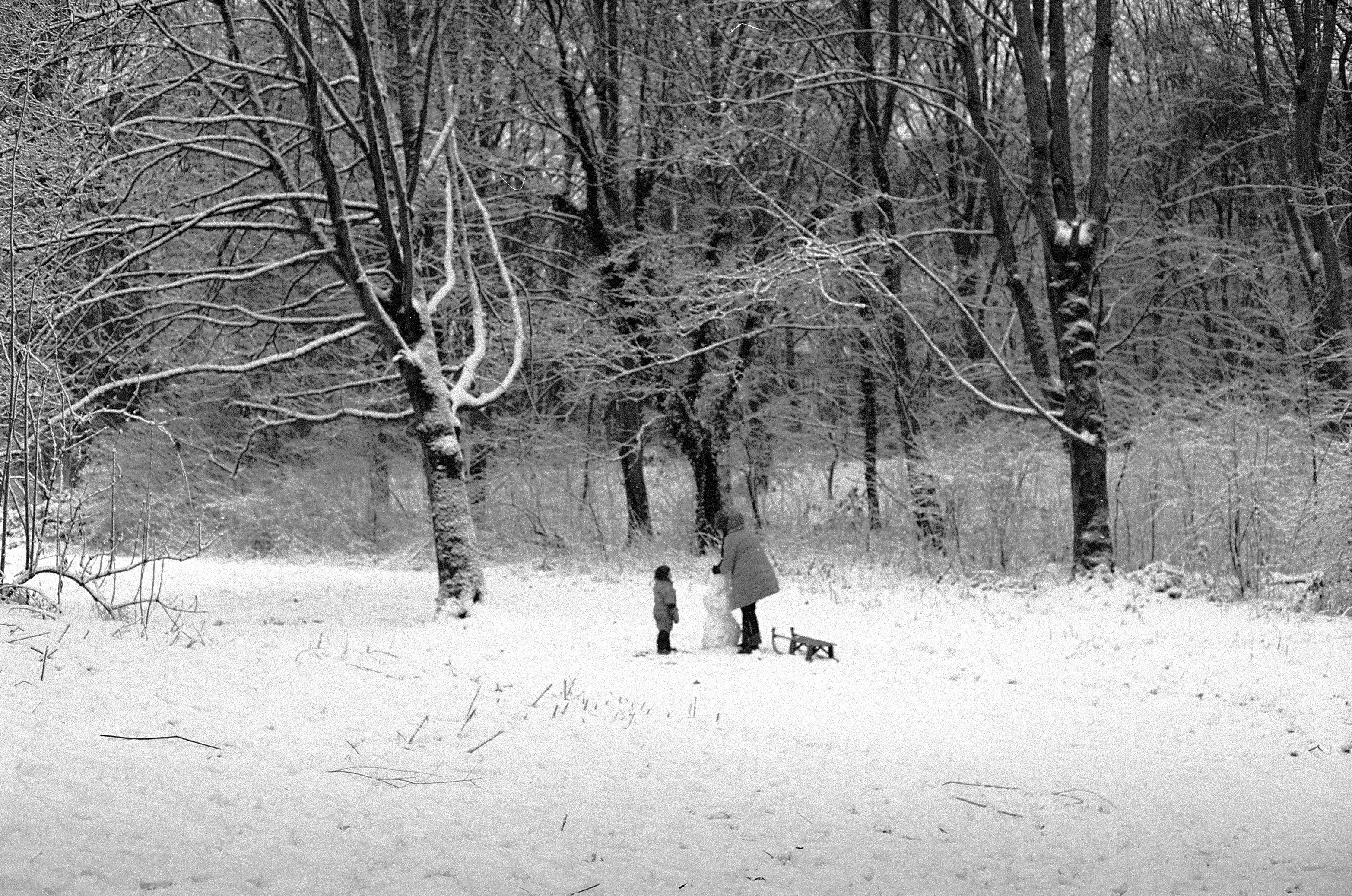 Image from Short Winter album