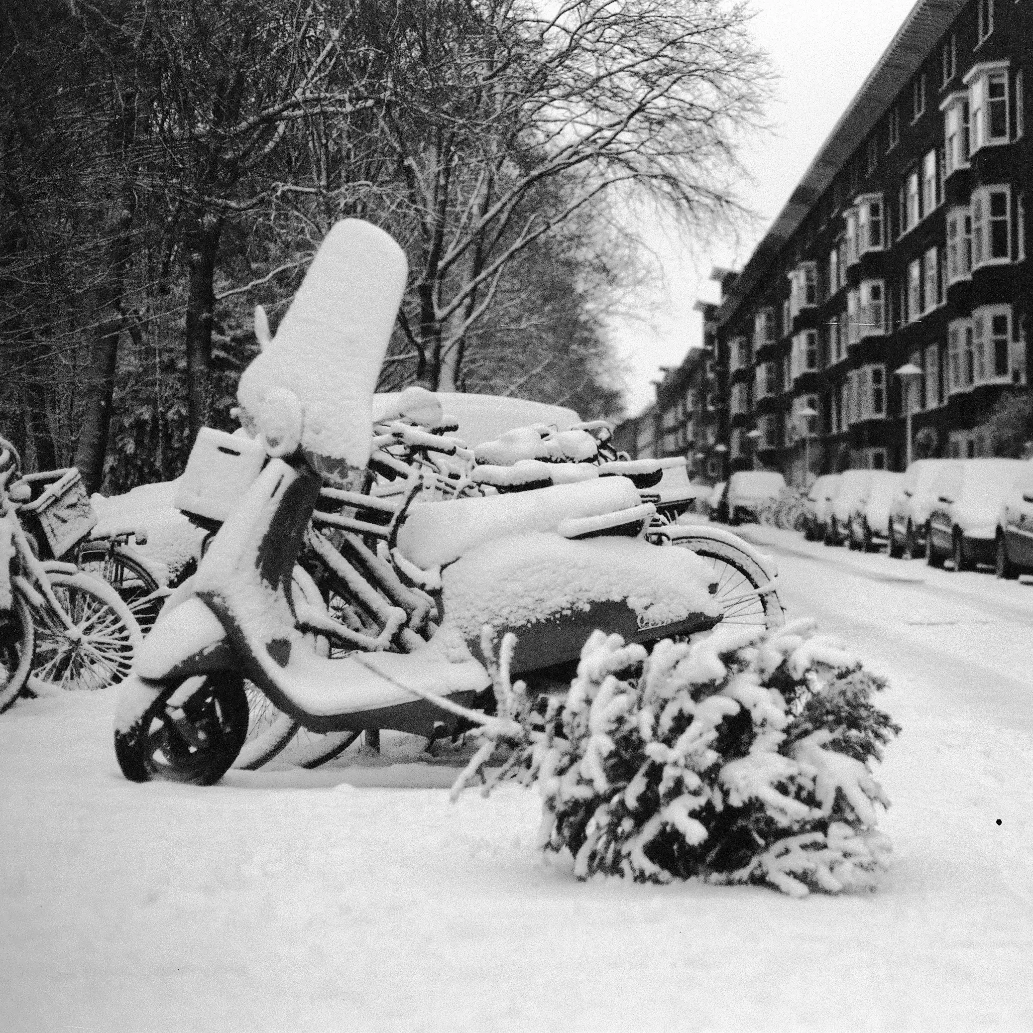 Image from Short Winter album